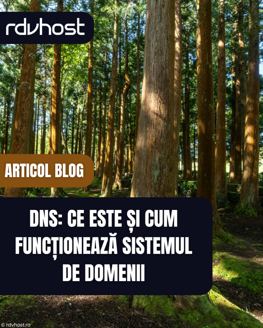 schema DNS explicatie cum functioneaza sistemul de nume de domenii