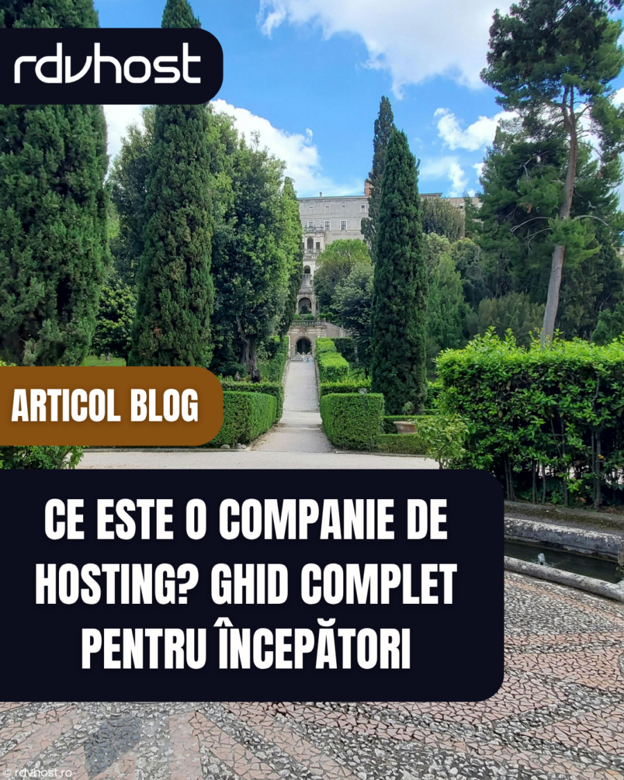 Companie de hosting oferind servere pentru găzduirea site-urilor web